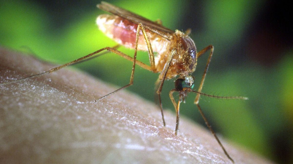 A malaria vaccine nearly 30 years in the making just got a green light from EU&nbsp;regulators