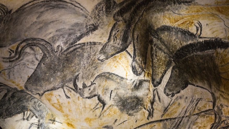 Kamdhenu -A Big cow-Mystery&nbsp;unveiled