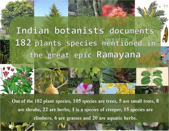 Vanaras (not monkey) of Ramayan&nbsp;decoded